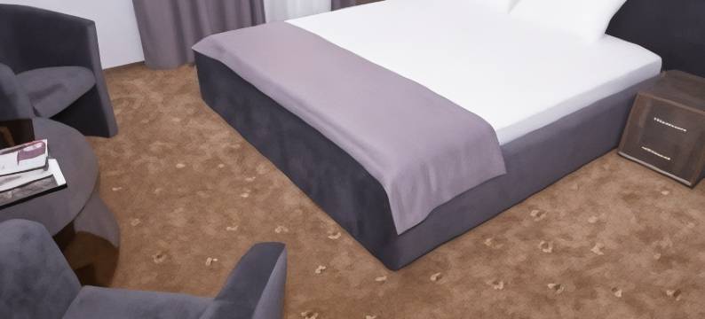 加加恩旅馆酒店(GagarInn Hotel)图片