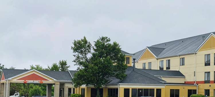 温德姆南荷兰拉昆塔温德姆套房酒店(La Quinta Inn & Suites by Wyndham South Holland)图片