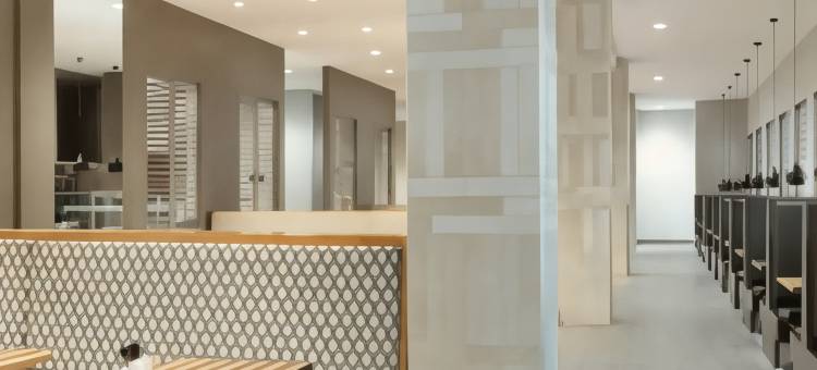 洛特爱斯丽希尔顿安泊酒店(Embassy Suites by Hilton Charlotte Ayrsley)图片