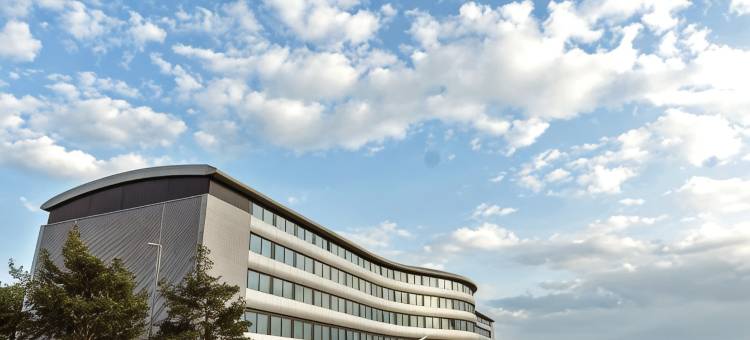 飞行员汉普郡(Aviator)图片