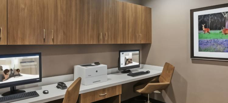 德克萨斯山乡村波维帝希尔顿欢朋酒店(Hampton Inn by Hilton Bulverde Texas Hill Country)图片