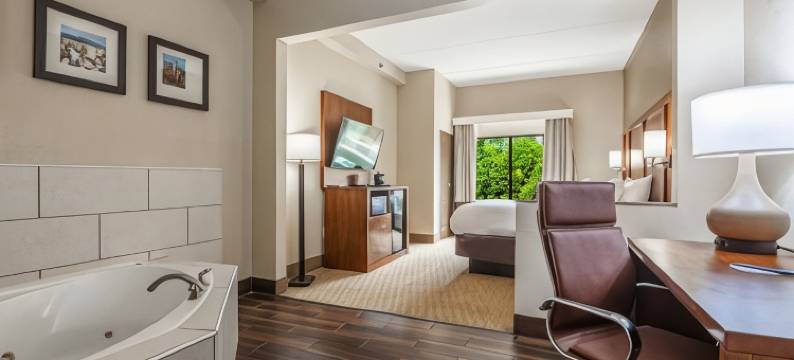 亚特兰大南部莫罗舒适套房酒店(Comfort Suites Morrow- Atlanta South)图片