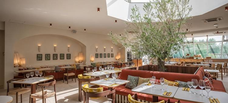 阿尔勒竞技场中心美居(Mercure Arles Centre Arènes)图片
