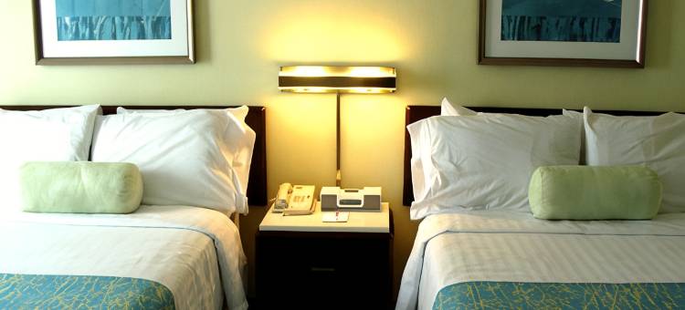 奥斯汀圆石城万豪 SpringHill Suites 酒店(SpringHill Suites Austin Round Rock)图片