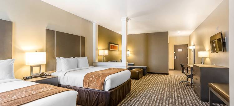 舒适套房靠近萨姆休斯顿赛马公园(Comfort Suites Near Sam Houston Race Park)图片