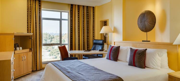 约翰内斯堡漫游者Protea酒店(Protea Hotel Johannesburg Wanderers)图片