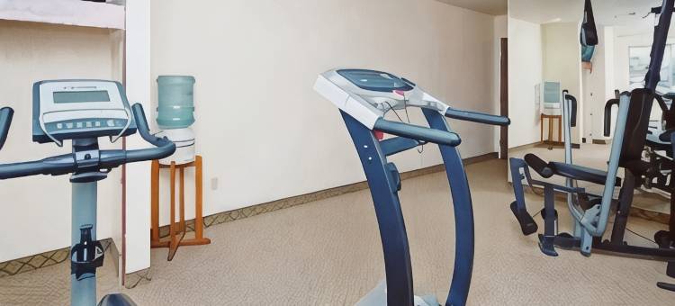 伊克诺圣罗莎南酒店及套房(Econo Lodge Inn & Suites Santa Rosa South)图片