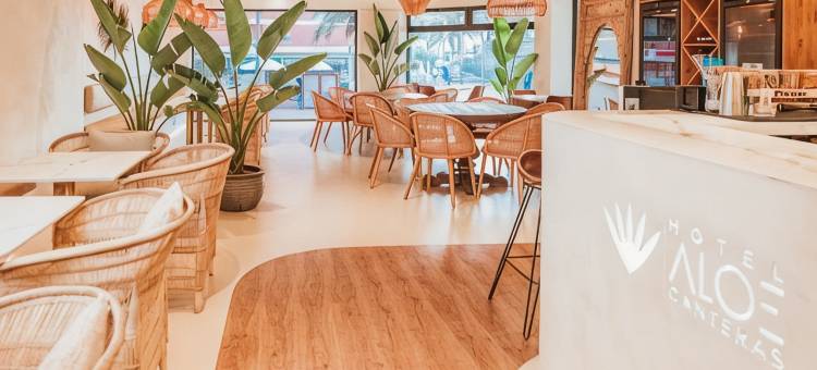阿罗三特拉斯酒店(Hotel Aloe Canteras)图片