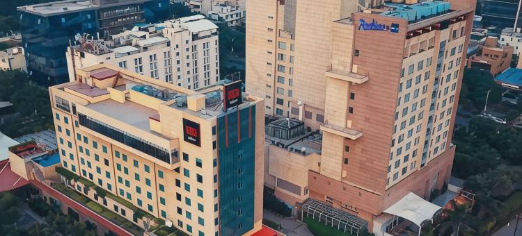 丽笙红牌印多尔酒店(Radisson RED Indore)图片