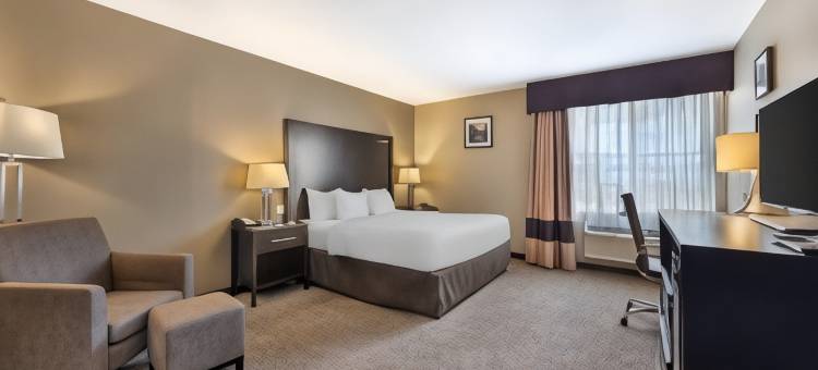 弗纳尔-国家公园区舒适套房酒店(Comfort Inn & Suites Vernal - National Monument Area)图片