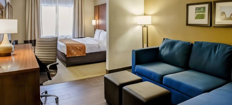 乔治敦舒适套房酒店(Comfort Suites Georgetown)图片