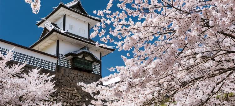 金泽西口站前微笑酒店(Smile Hotel Kanazawa Nishiguchi Ekimae)图片
