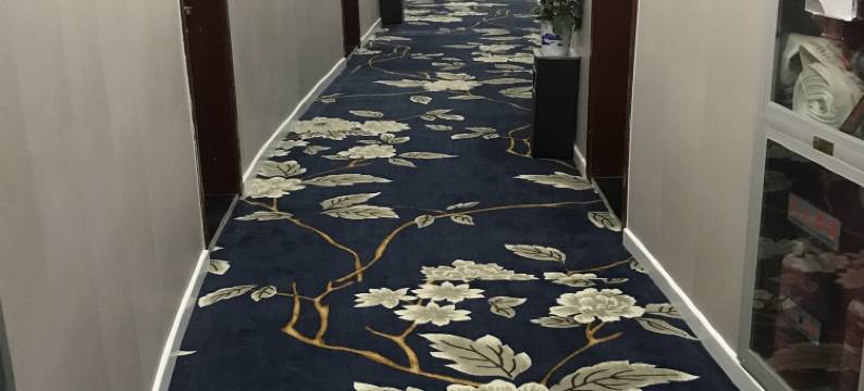 馨兰鑫宾馆(沛县九龙城店)图片