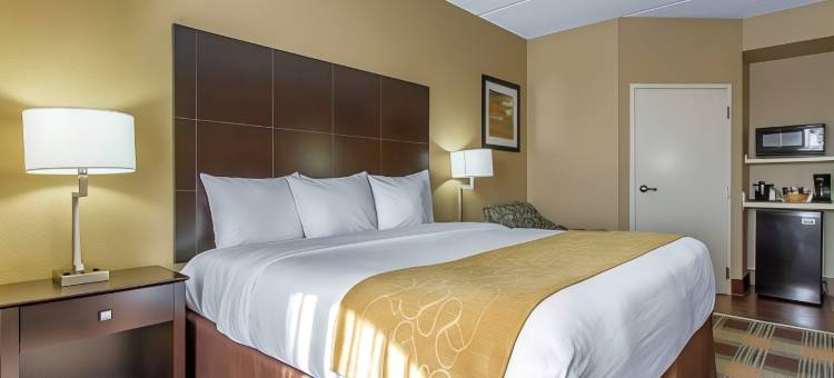 机场舒适套房酒店(Comfort Suites Airport)图片