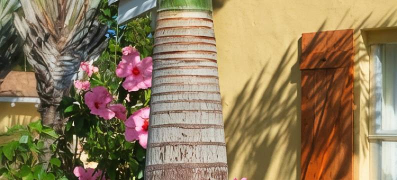 大西洋宾馆(Atlantic Hideaway)图片