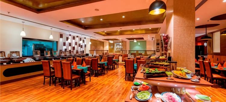 温德姆华美达尼姆拉纳酒店(Ramada by Wyndham Neemrana)图片