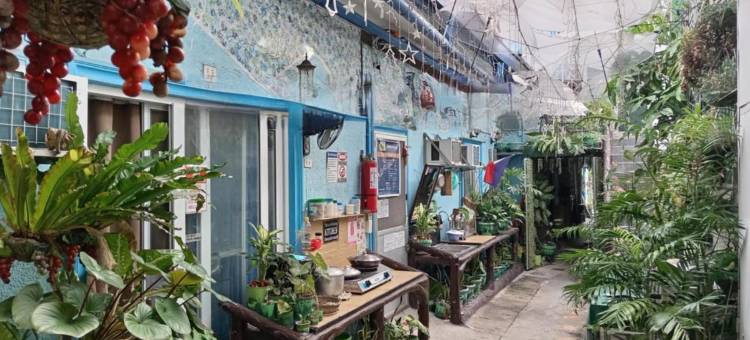 丹尼尔斯广场酒店(Daniela's Place)图片