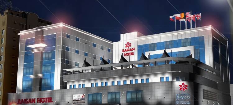 拜山国际酒店(Baisan International Hotel)图片