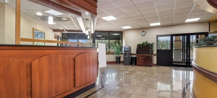 Suburban 开间 佛罗伦萨 - 达林顿(Suburban Studios Florence - Darlington)图片