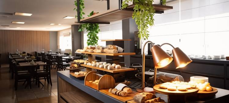 贝洛奥里藏特萨瓦西美居酒店(Mercure Belo Horizonte Savassi)图片