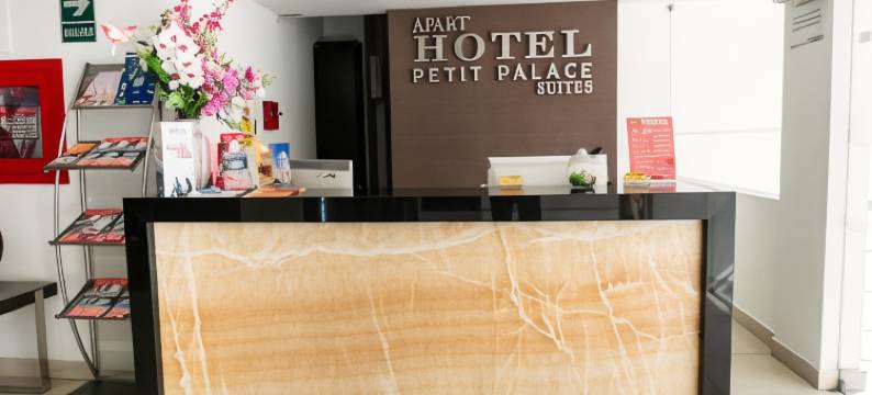 小皇宫套房公寓酒店(Apart Hotel Petit Palace Suites)图片