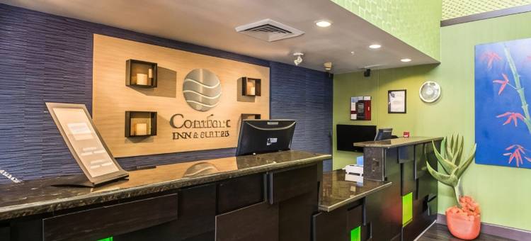 兰坦纳西棕榈滩舒适套房酒店(Comfort Inn & Suites Lantana - West Palm Beach South)图片
