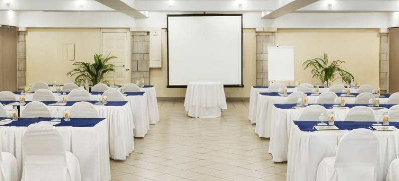 比亚埃尔莫萨维瓦酒店(Hotel Viva Villahermosa)图片