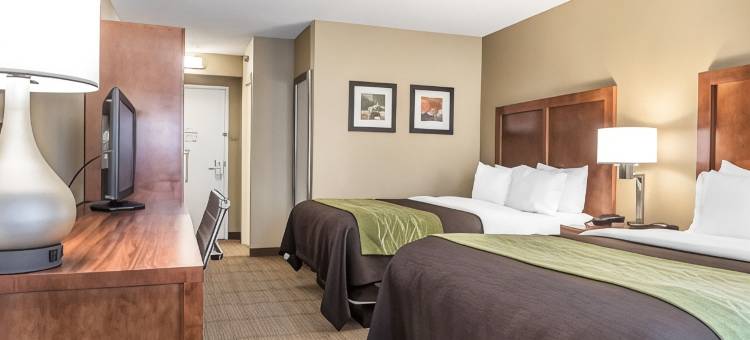 皮夸舒适套房酒店-近特洛伊-I75(Comfort Inn & Suites Piqua-Near Troy-I75)图片