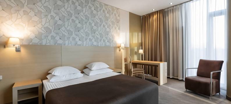 雷西威尔大象酒店(Rixwell Elefant Hotel)图片