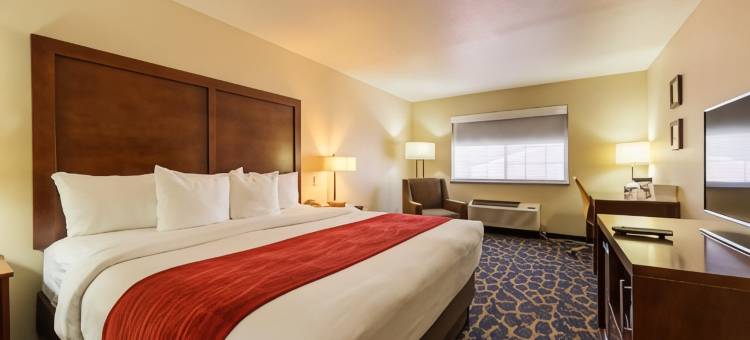 阿拉莫萨舒适套房酒店(Comfort Inn & Suites Alamosa)图片