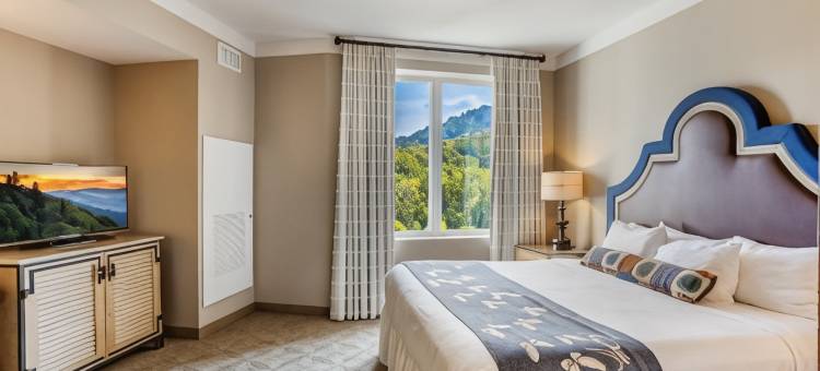 达莱坞梦想度假村(Dollywood's DreamMore Resort and Spa)图片