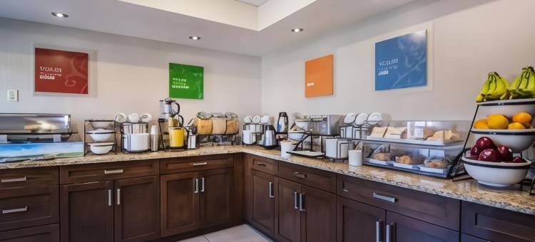 南部舒适酒店(Comfort Inn & Suites South)图片