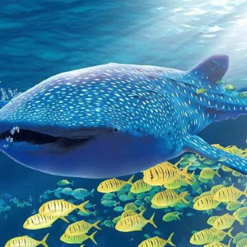 深圳+珠海长隆+广州长隆6日5晚拼小团