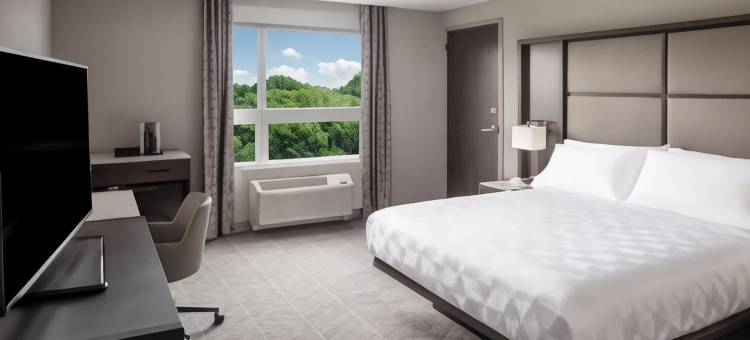 切尔西波士顿洛根机场假日酒店(Holiday Inn Boston Logan Airport - Chelsea)图片