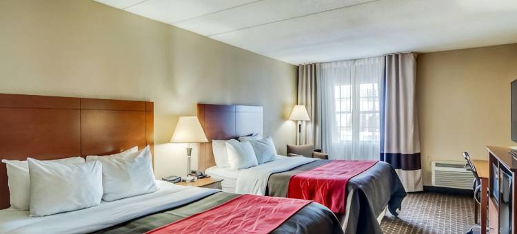 舒适套房酒店-拉芬列克星敦I-81和I-64附近(Comfort Inn & Suites Raphine - Lexington Near I-81 and I-64)图片