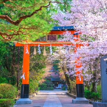 日本大阪+京都+美国夏威夷檀香山+欧胡岛12日10晚拼小团