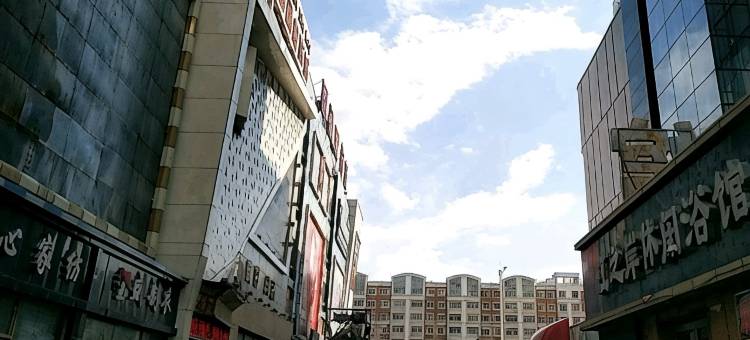哈尔滨禧合宾馆(哈西站黑龙江大学地铁站店)图片