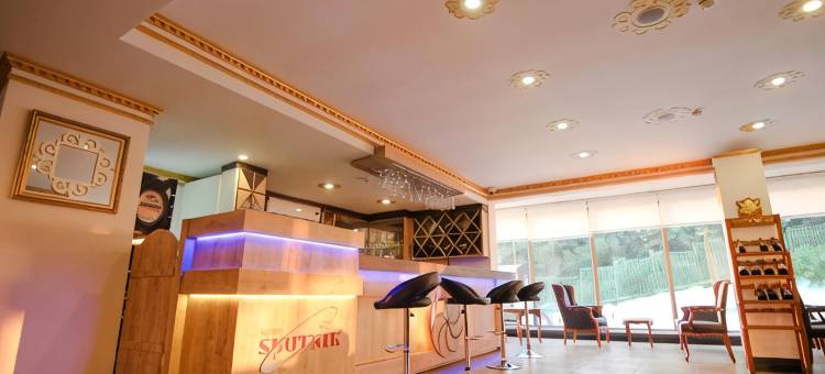 巴统斯普特尼克酒店(Hotel Sputnik Batumi)图片