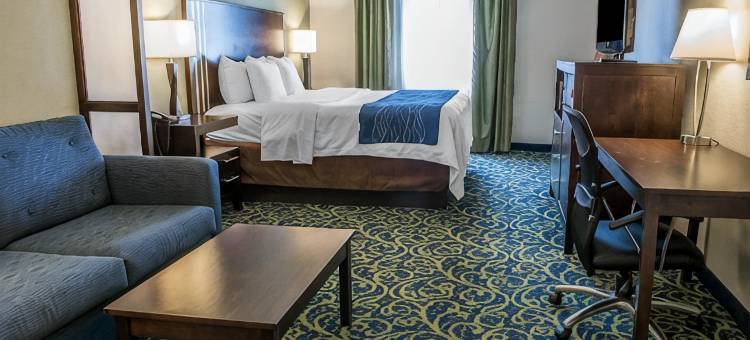 巴特勒舒适套房酒店(Comfort Inn & Suites Butler)图片