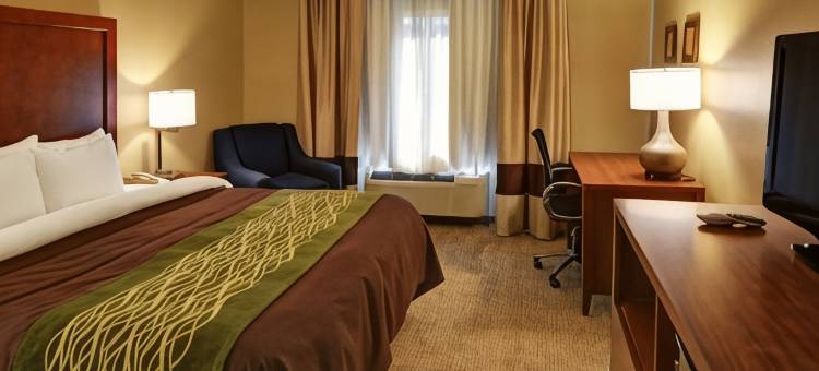 红橡木舒适酒店(Comfort Inn & Suites)图片