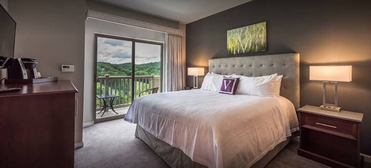 瓦尔哈拉度假式酒店(Valhalla Resort Hotel)图片