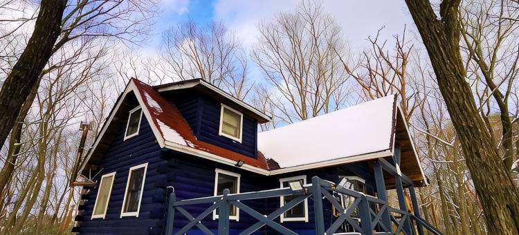 Private Cabin-Perfect for families, large groups!图片