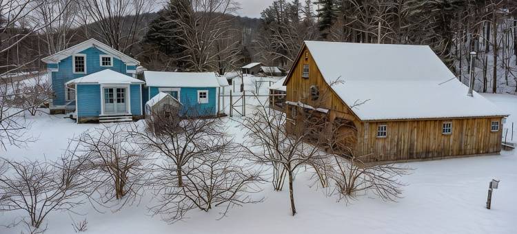 Catskill dreamy pet friendly country house  for a unique getaway experience.图片