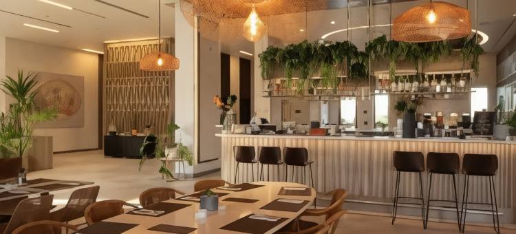阿里卡诺富特酒店(Novotel Arica)图片