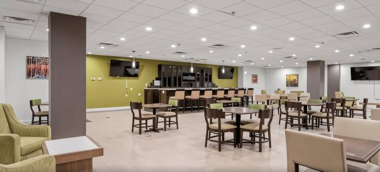 夏洛特机场丽笙酒店(Radisson Hotel Charlotte Airport)图片