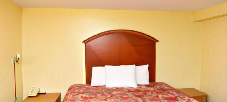 皇家旅馆(Royal Inn)图片