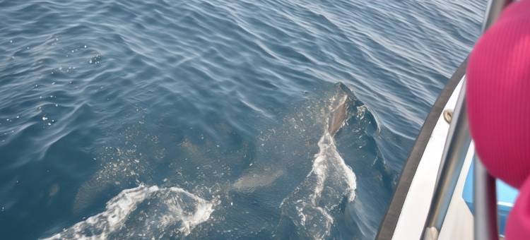 礁溪21号温泉旅店图片