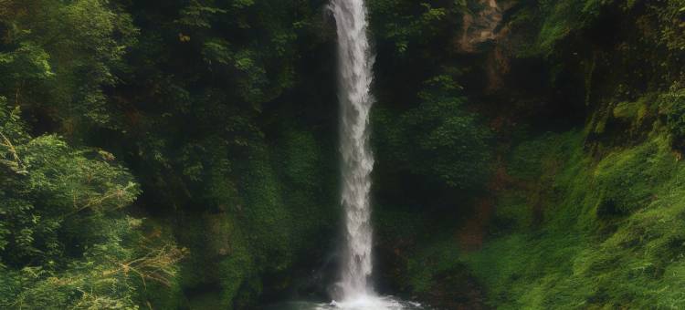 北加浪岸卡哈斯酒店-原北加浪岸佩索纳酒店(Khas Hotel Pekalongan)图片