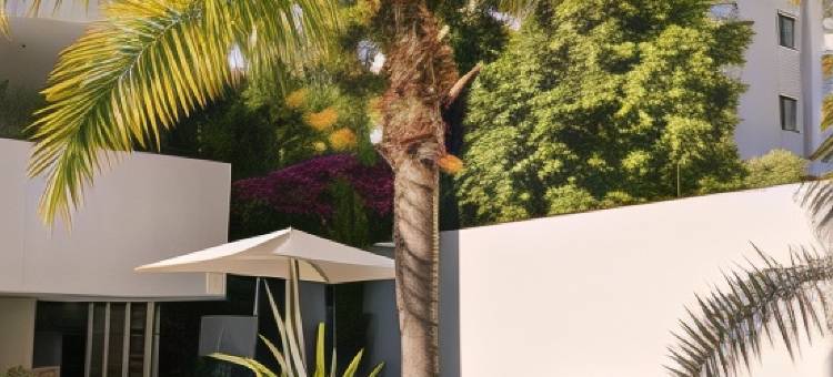 巴西酒店套房(Brasil Suites Boutique Hotel)图片