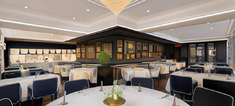 阿玛瑞斯维也纳酒店-罗莱夏朵(The Amauris Vienna - Relais & Châteaux)图片